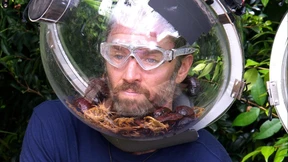 Durfte Gil Ofarim sagen, was er sagte?