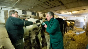 Kein Doktor für das liebe Vieh