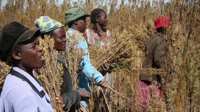 Mit Mut, Geduld und  Beharrungsvermögen