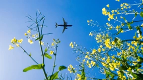 Niemand soll sich für das Fliegen schämen