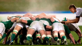 Sport wirkt sich positiv auf die Darmflora aus