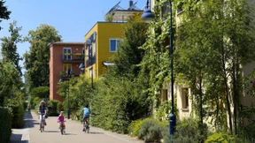 Jetzt kommt die Zwangsbegrünung