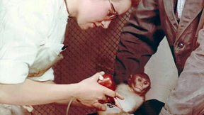 Eine Stadt sucht einen Mörder