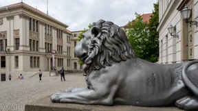 Nach dem Verbot fliegen die Steine