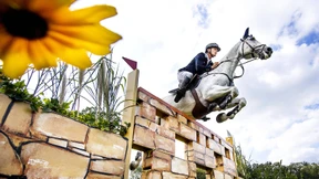 Die Steigerung von Golf – mit großen Tieren