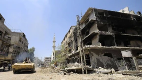 Der nützliche Feind 