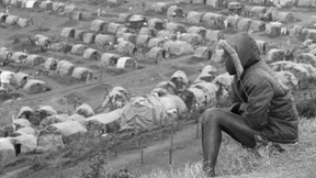 Unsere seltsame neue Welt