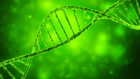 EuGH lehnt Lockerung von Gentechnik-Regeln ab