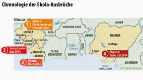 Neue Erkenntnisse über Mutation des Ebola-Virus