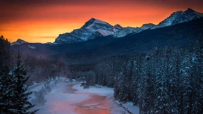 Es muss nicht immer Heli sein