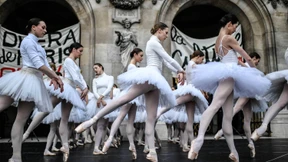 Schwanensee-Protest in Frankreich