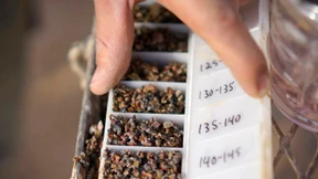 Vermögensvernichtung mit Gold