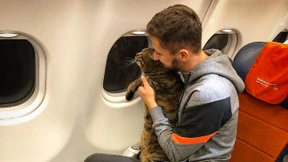 Russe schmuggelt dicken Kater ins Flugzeug