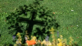 Hilfe zum Suizid von 2022 an in Österreich erlaubt