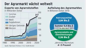 Das Gold liegt auf dem Acker