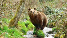 „Ich habe dem Tod ins Auge gesehen“