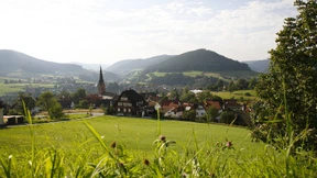 Die Zerstörung der Freude im Namen des Lebens
