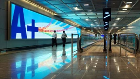 Über sieben Brücken musst du gehn