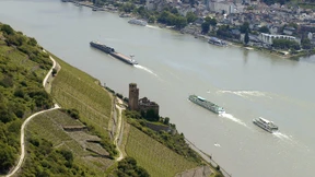 Unterschriften für die Rheinbrücke