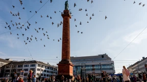 Die Grünen verlieren überall