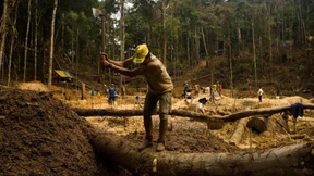 Die Schwellenländer sind wieder da