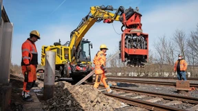 Fledermäuse in Dauerschleife