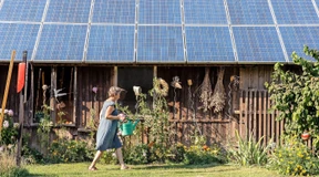 Nicht für alle Käufer scheint die Sonne