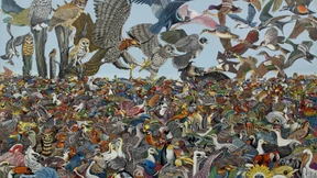 Nahrungsmittel, Flugzeuge, Vögel in Massen