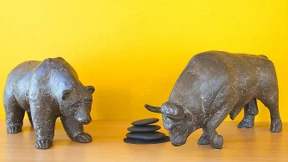 Werden wir bald alle Aktionäre?