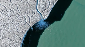 Die Zukunft verliert ihre Anziehungskraft