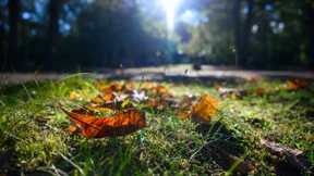 Die wirklich schönste Jahreszeit