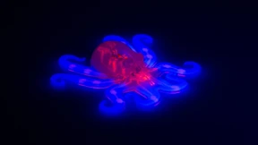 Der künstliche Oktopus lernt zappeln