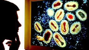 Pockenviren im Labor vergessen