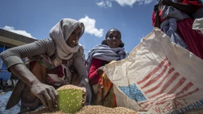 Worum geht es im Streit um Amerikas Entwicklungshilfe?