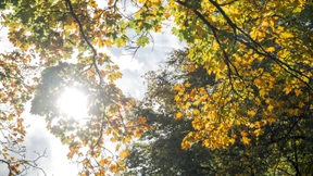 Mildes Wetter hilft Deutschland