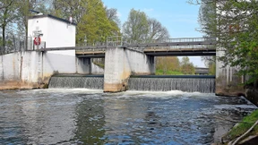 Freier Aufstieg für Fische in der Nidda