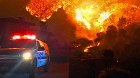 Feuerwehr führt Buschfeuer in Bel Air auf Obdachlose zurück