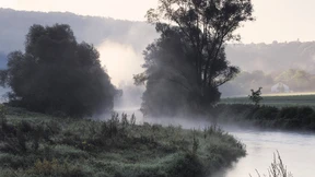 Auf Pfarrers Wort ist Verlass