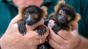 „Tiere sind sehr konservativ“