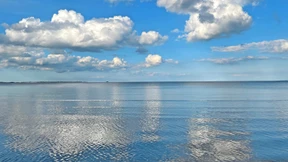 Normal ist Freiheit – nicht Untertanengeist