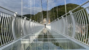 Weißer Drache aus gehärtetem Glas