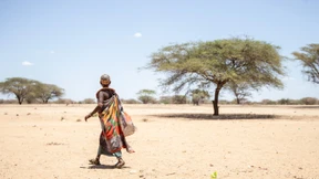 Leser können wieder helfen