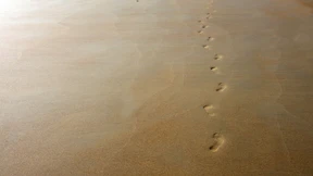 Menschliche DNA lässt sich in vielen Umweltproben finden