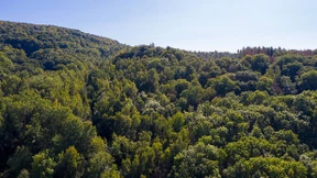 Leserbriefe vom 16. Oktober 2020