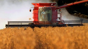 Marktenge treibt Sojapreis