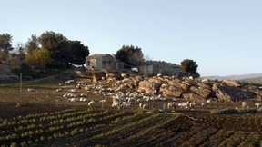 Eine etwas andere italienische Reise