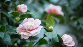 So ein liebevoller Ort