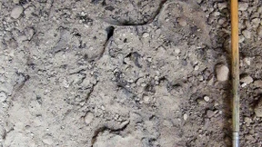 Vulkanausbruch schmolz Gehirn zu Glas