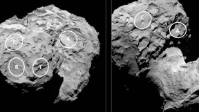 Kopf oder Bauch, das ist die Frage