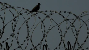 Das Leiden anderer betrachten